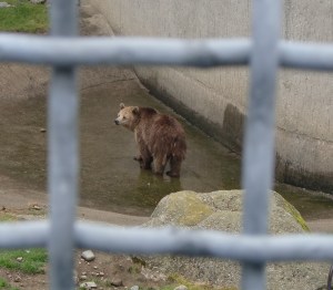 Några förhoppningsvis befriande tankar kring döden och livet